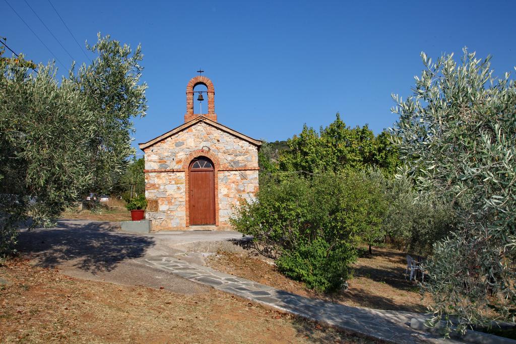 Armonia Guesthouse Panormos  المظهر الخارجي الصورة